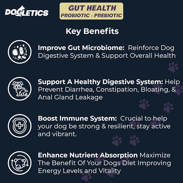 DOGLETICS GUT HEALTH PROBIOTIC & PREBIOTIC – 90CT SUPPORT STOMACH MICROBIOME, PREVENT DIGESTIVE PROBLEMS, REDUCE ANAL GLAND ISSUES, IMPROVE IMMUNE FUNCTION AND OVERALL ENERGY