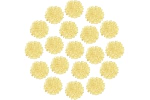MECCANIXITY 20Pcs Tissue Paper Pom Poms, 4 Inch Colorful Large Tissue Paper Flowers Wall Decorations for Fiesta Party Birthda