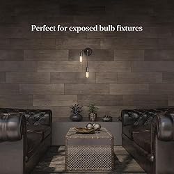 Feit Electric 40-Watt Equivalent T6 Dimmable