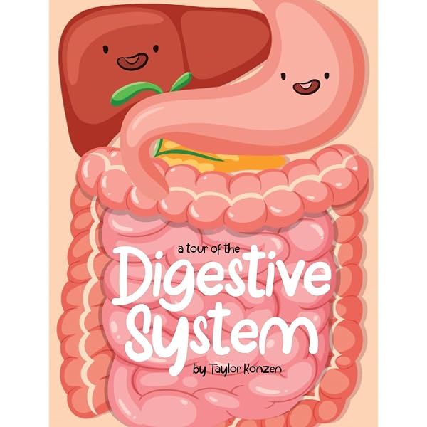 A Tour of the Digestive System (Welcome to Your Body): Amstutz