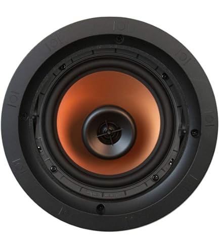 Amazon.com: Va VIP-402A-IC IP 2 x 2 Lay in Ceiling Speaker - White
