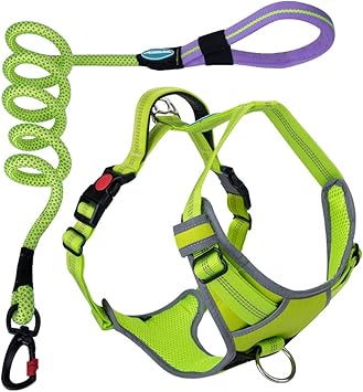 harness and lead set