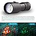 Evolva Future Technology D02 Scuba Diving Underwater 100M Video / Camera Photography Light Torch Flashlight
