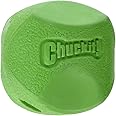 ChuckIt! Erratic Ball Dog Toy, Small, 2 Pack
