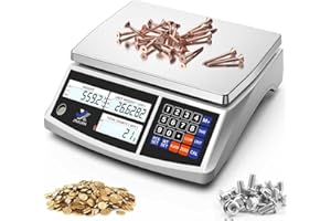 Industrial Counting Scale, 30kg/66lb x 0.1g Digital Inventory Scale with Batteries Ac Adapter for Small Parts Coins Jewelry, 