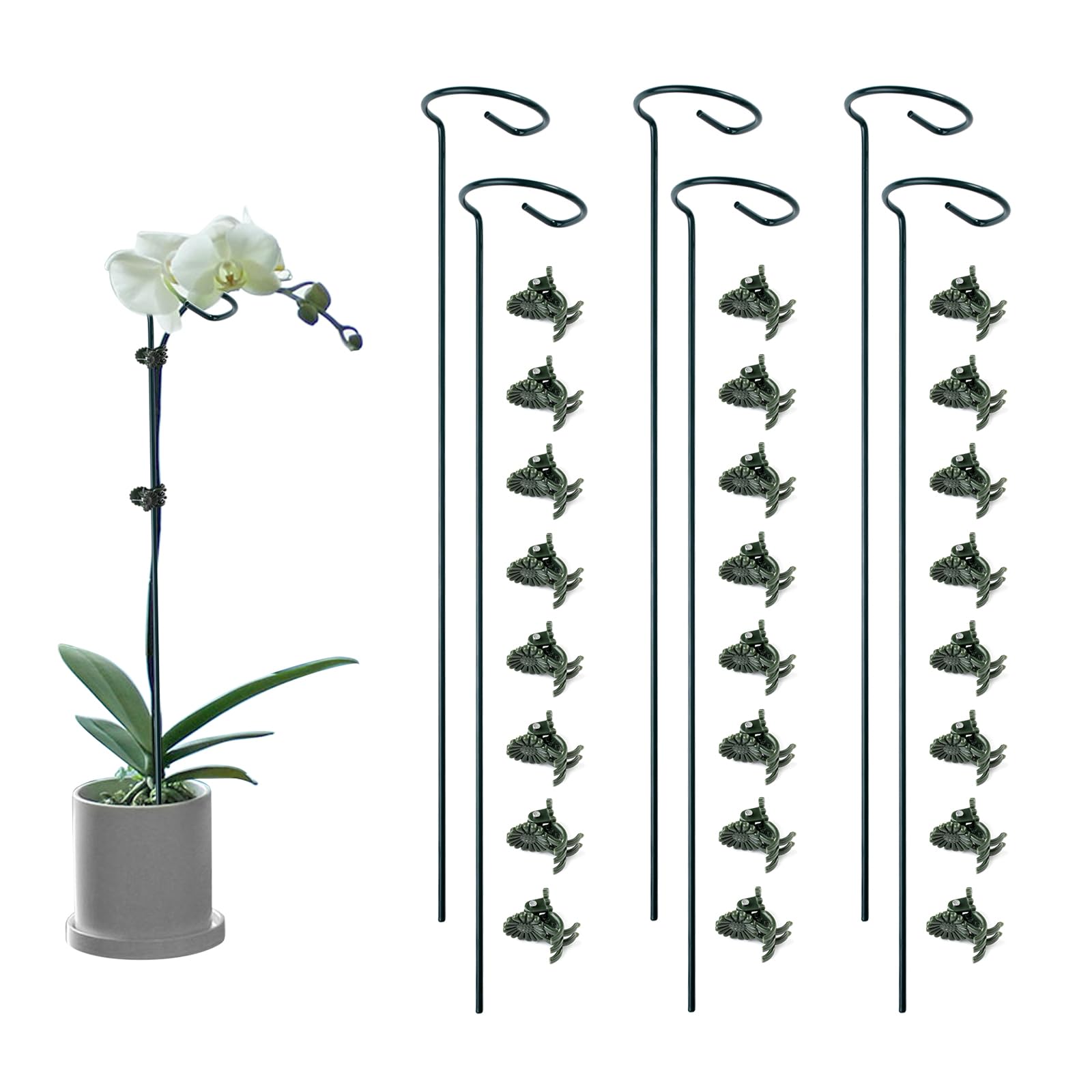 Photo 1 of Lunhans 6 Pack Plant Support Stakes with 24 Pcs Plant Clips,Single Stem Support Stake Plant Cage Support Ring for Garden Flowers Rose Tomatoes Peony Lily Rose Herbs Vegetable (16 Inch)