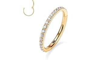 GAGABODY 20G 18G 16G 14G 6mm-12mm 316L Surgical Steel Piercing Jewelry Hinged Seamless Earrings Clicker Hoop Piercing Rings for Cartilage Helix Rook Septum Daith Tragus Lobe CZ/Opal/Shell/Turquoise