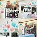 Gender Reveal Party Supplies Gender Reveal Decorations BOY OR Girl? Banner with Tissue Pom Poms Paper Lanterns Baby Blue Pink for Birthday/Pink and Blue Decorations