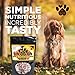 Pet Science Secret Beef & Cheddar Potato Dog Treats, 100% All Natural, Grain, Gluten & Chemical Free, No Preservatives, Antioxidants, Made in USA, 10 oz.