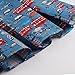 Dressever Women's Vintage A-line Printed Pleated Flared Midi Skirts Cars Medium