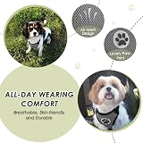 SlowTon Dog Car Harness Seatbelt Set Pet Vest Harness with Safety Seat Belt view 2