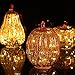 denlix Mercury Glass Pumpkin Lights with Timer for Fall, 7.7