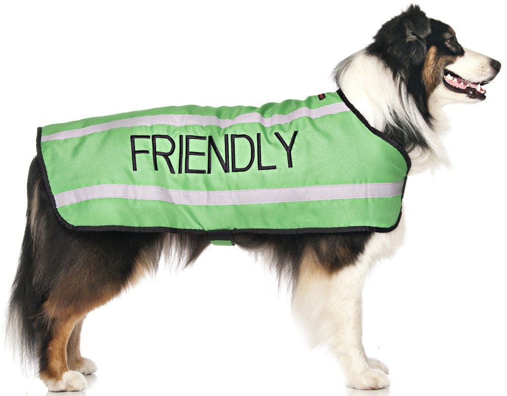 Dexil FRIENDLY (Known as Friendly to all) Green Colour Coded S M L Reflective Waterproof Fleece Lined Warm Dog Coats PREVENTS Accidents By Warning Others Of Your Dog In Advance (L-XL)