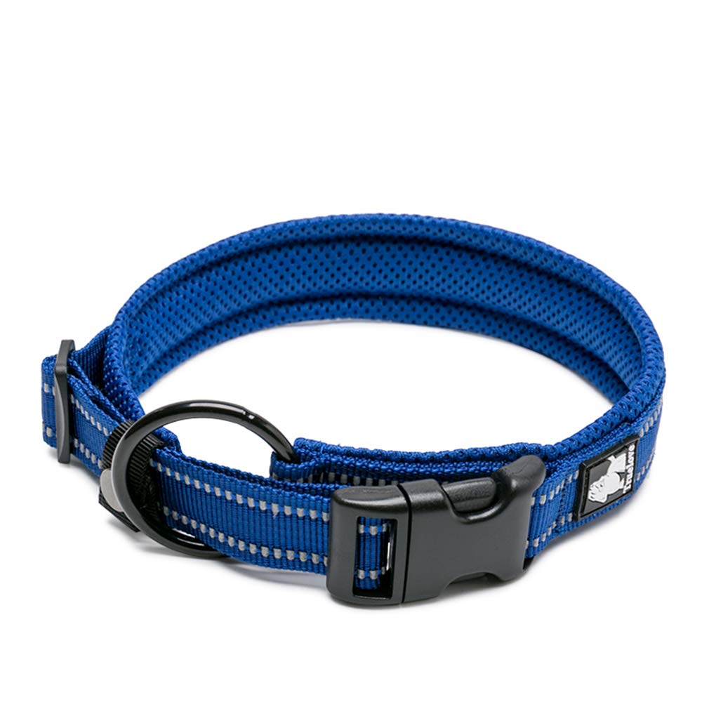 WINHYEPET True Love Dog Collar Reflective Sandwich lining Nylon Webbing Comfortable and Safe Adjustable Buckle convenient used for walking for Samll/Medium/Large neck ring TLC5011(Royal Blue,L)
