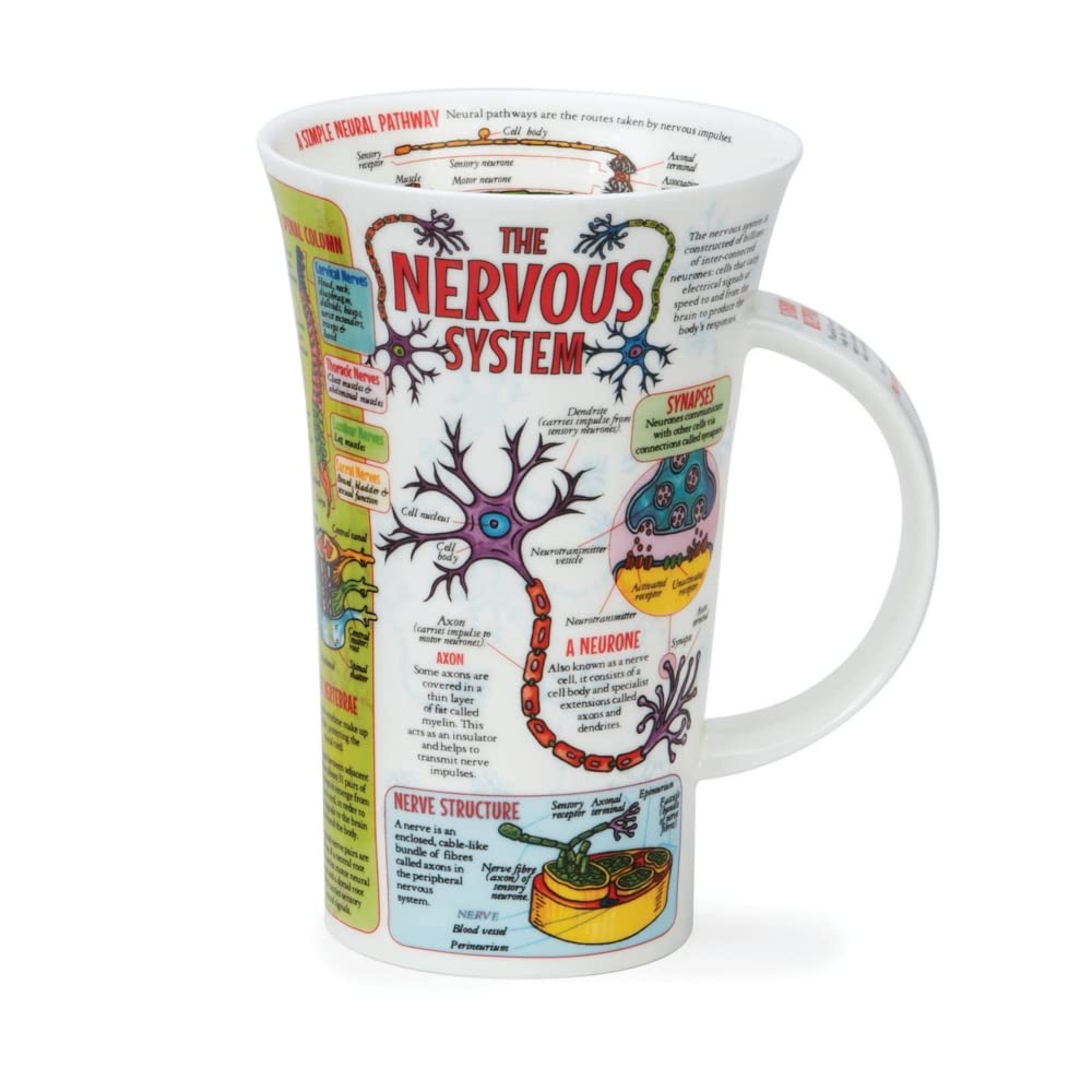 Dunoon Glencoe 0.5 Litre Fine Bone Chiana Mug The Nervous System
