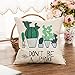 Fahrendom Farmhouse Décor Don't Be a Prick Cactus Funny Quote Summer Decoration Cotton Linen Home Decorative Throw Pillow Case Cushion Cover with Words for Sofa Couch 18 x 18 Inch