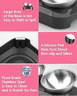 PewinGo Cat Bowls with Stainless Steel 0° & 15° Tilt, Non-Slip Base view 4
