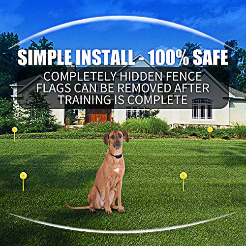 Wireless Dog Fence Electric Pet Containment System, In-Ground Dog Fence Design Underground Hidden Dog Fence, Waterproof Rechargeable Collar Easy Setup (2 Dog System)