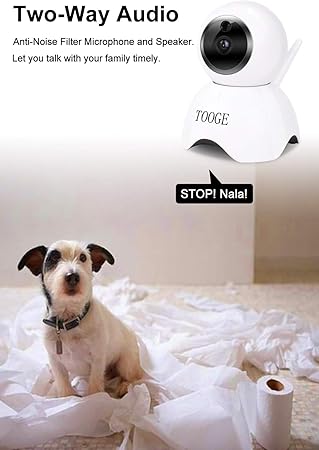 dog camera you can talk through