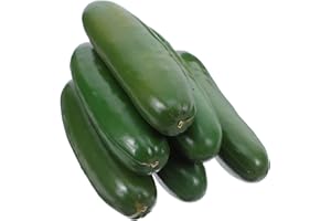 Beavorty 6pcs Plastic Fake Cucumbers Mini Simulation Vegetables Realistic Green Artificial Cucumbers for Home