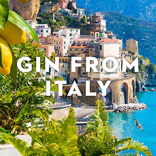 Malfy Gin Mini Tasting Set, Italian Gin Probierset mit Originale, Rosa, con Arancia & con Limone, Geschenk-Box mit vier Miniatur-Flaschen, 4 x 50ml – Bild 5