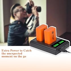 Pickle Power NP-FW50 Battery and LED Display