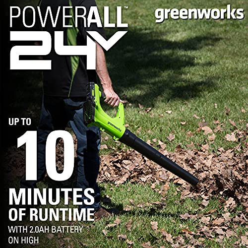 Greenworks 24V Cordless String Trimmer And Blower Combo Pack, 2Ah