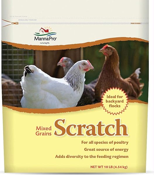 SCRATCH GRAIN 10# (PKG OF 10)