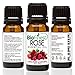 Biofinest Rose Essential Oil - 100% Pure Organic Therapeutic Grade - Best for Aromatherapy, Mood Relaxing, Hormonal Balance, Ease Headache Cramp Cold Wrinkles Acne Stretch Mark - Free E-Book (10ml)