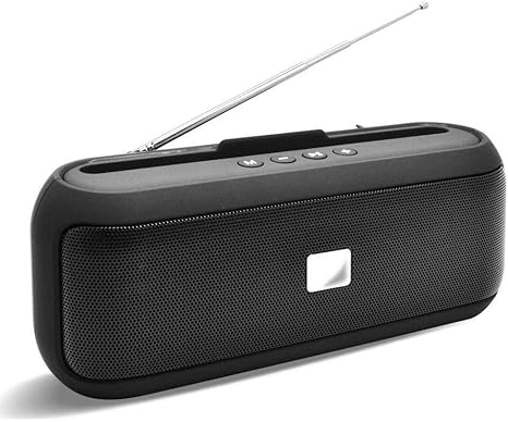 fm radio speaker
