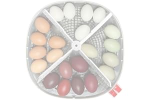 SPLASH N COLOR SplashNColor Hatch Divider for Nurture Right 360 Egg Incubator - Egg Incubator Divider with Mesh Design - Easy Install Hatching Eggs Divider - Compatible with Chicken, Quail, Goose, Duck Eggs - Black