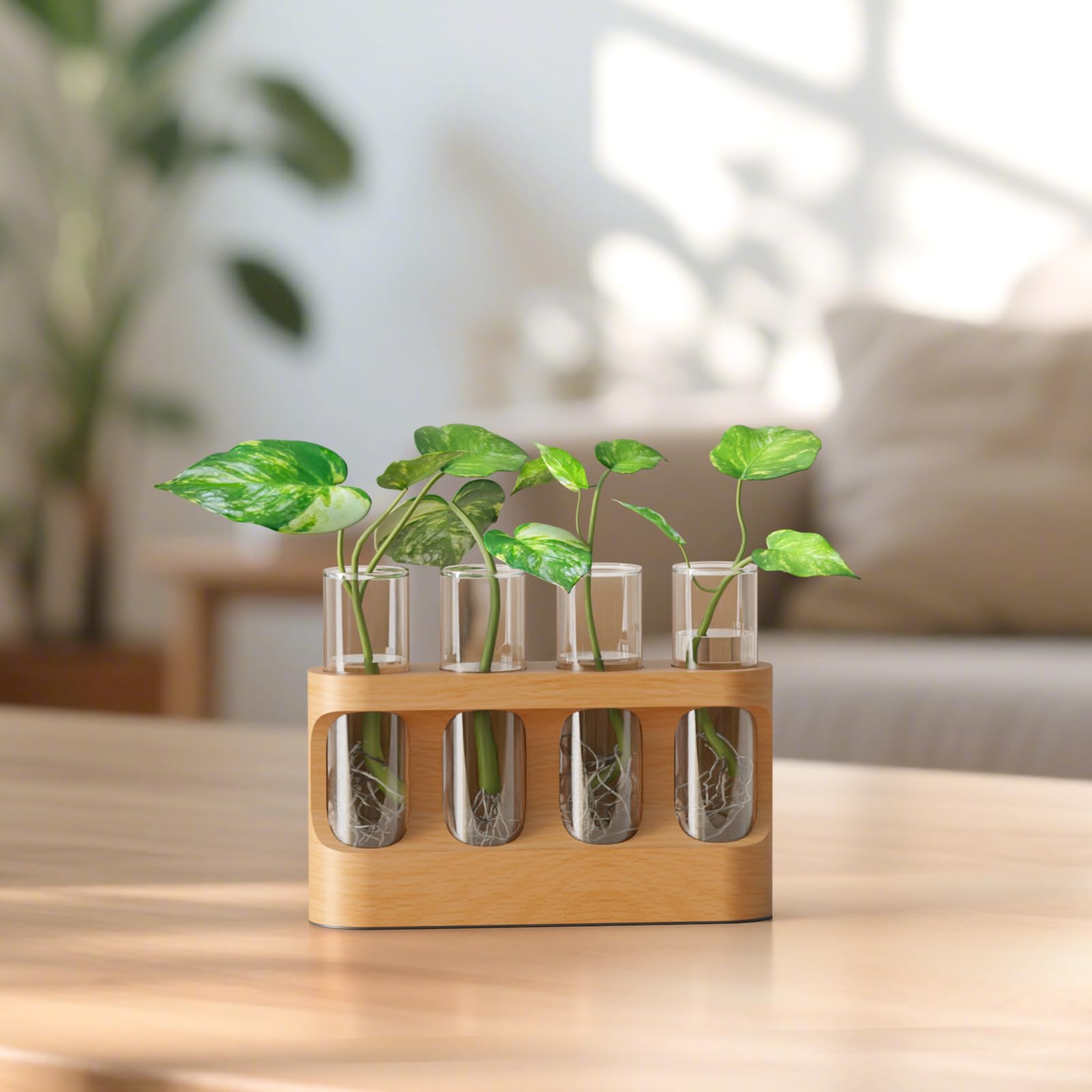 Photo 1 of Plant Propagation Station with Wooden Stand, Gardening Gifts for Mom Women Plant Lovers, 9-Level Dimmable LED Light 4 Glass Test Tubes Vases for Hydroponic Plants - Desktop Terrarium for Desk Decor