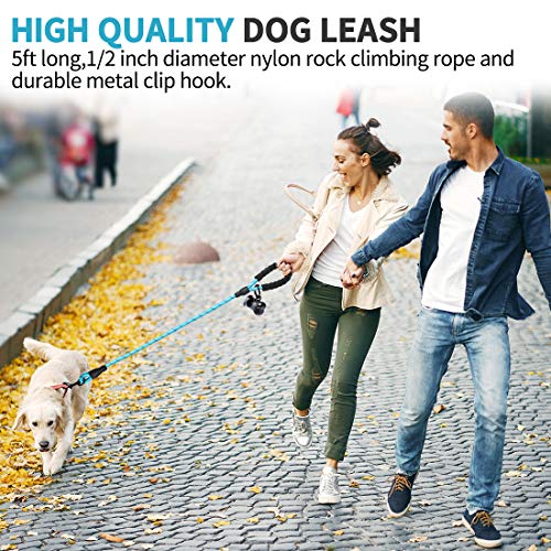 Doyoo 5 FT Strong Dog Leash with Comfortable Padded Handle and Highly Reflective Threads Dog Leashes for Medium and Large Dogs