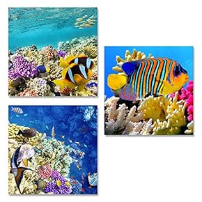 Canvas Wall Art Tropical Theme Sunshine Ocean and Beach Painting Artwork for Home Prints Framed - 12"x12"x3 Panels