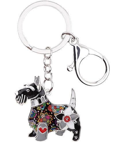 Scottish Terrier Noir À VENDRE! - FR