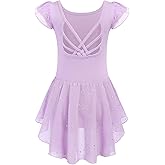 Arshiner Girls Shiny Ruffle Sleeve Ballet Leotard with Skirt Criss-Cross Back Dance Dresses