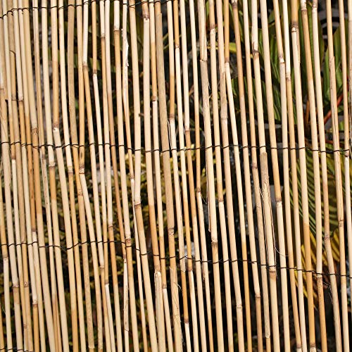 Backyard X Scapes Peeled Reed Fencing 6ft H X 16ft L Import It All