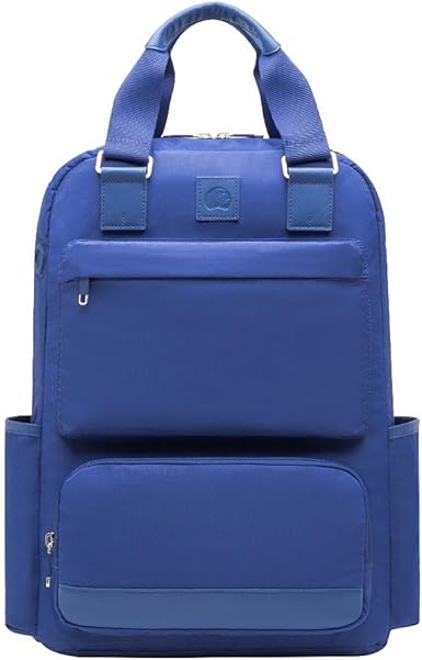 delsey legere backpack