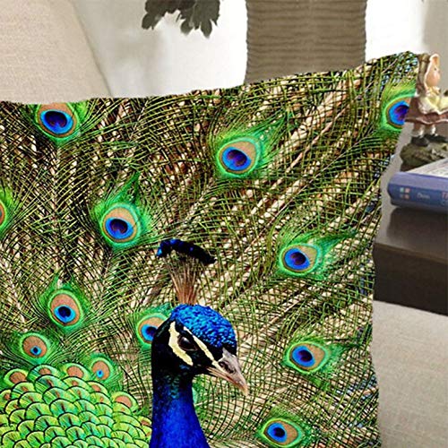 Accessoires D Albums Photo 45cm Decoration De La Maison Argodbar