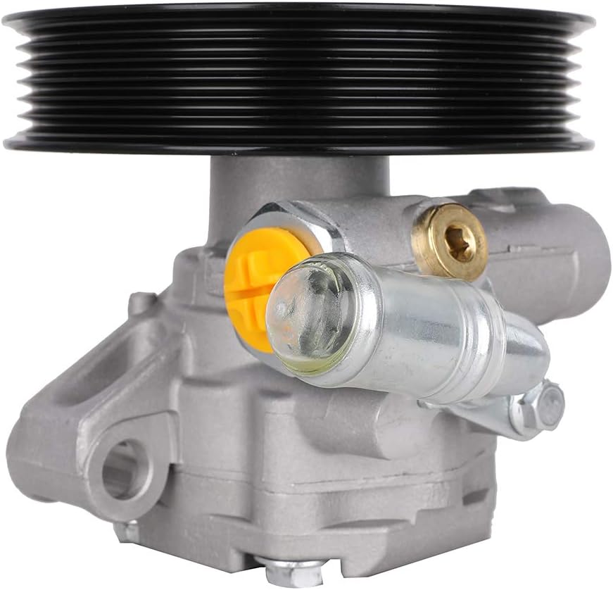 Power Steering Pump with Pulley for Buick Enclave Chevy