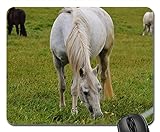 Mouse Pads - Horse Mold Animal Ride Pasture Grazing