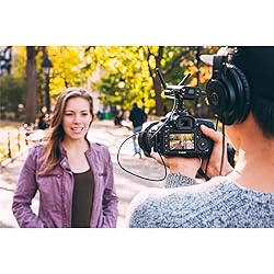 Audio Technica ATW-1701/L Portable Camera Mount