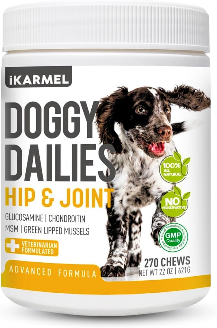 iKarmel Joint Supplements for Dogs | Hip and Joint Care 270 Chews