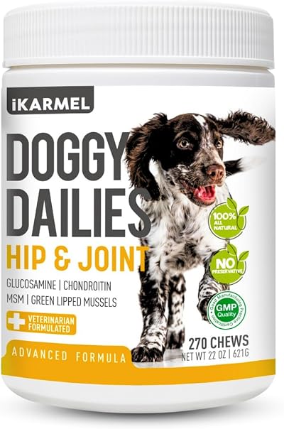 iKarmel Joint Supplements for Dogs | Hip and Joint Care 270 Chews