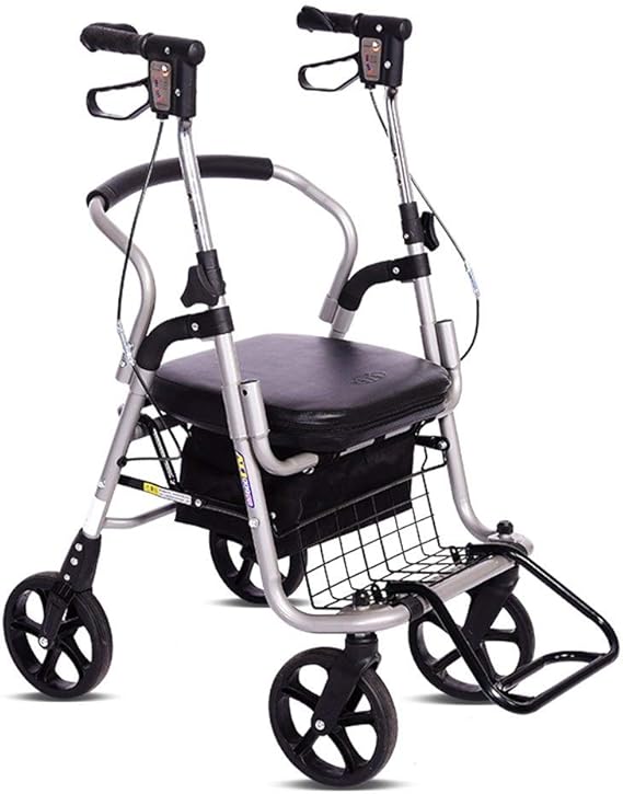 Shopping Bags Walker Small Cart Old Cart Grocery Shopping