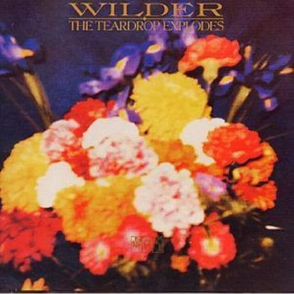 欧LP Teardrop Explodes Kilimanjaro 7763057 Mercury, UMC, Zoo Records /00260 The Teardrop Explodes – Kilimanjaro – CD (HDCD, Album + 2