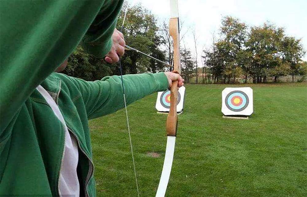 100 Grain Archery Field Points Practice Field Tips, Archery Target Practice Hunting Arrow Tip for Recurve, Compound Bow Crossbow, Screw-in 100 Grain (12pcs) : Sports & Outdoors