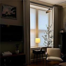 Boolegon Light Filtering Cellular Shades Cordless