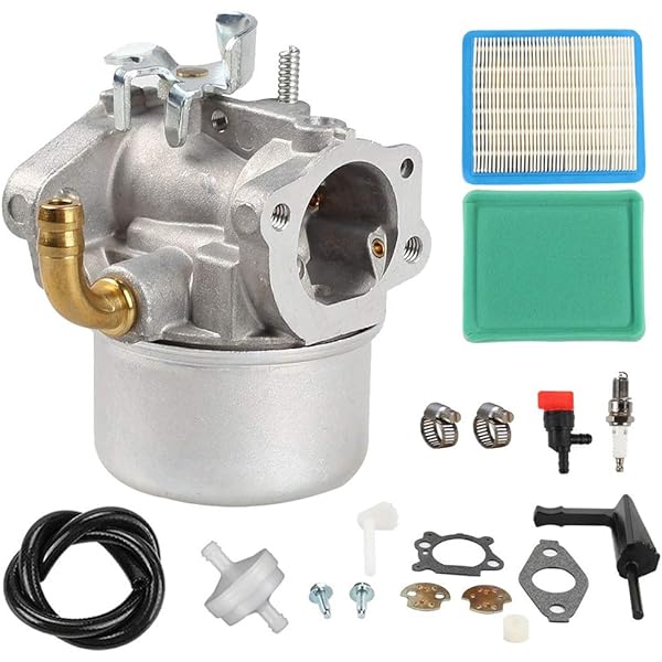 Amazon.com: 798653 Carburetor for Briggs & Stratton 697354 790290  