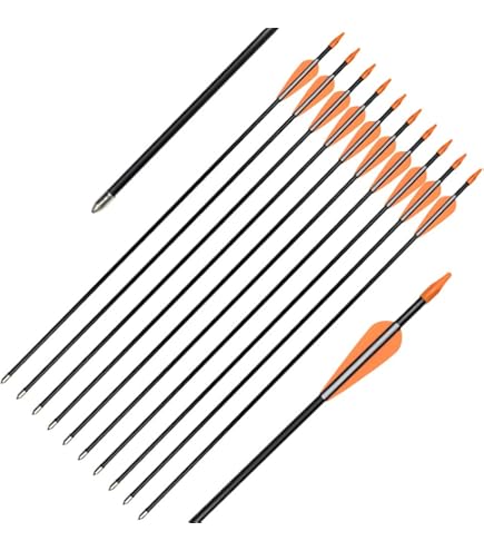 400 Spine Carbon Arrows - 25 Inch Hunting & Target Practice Arrows For Compound/Recurve Bows